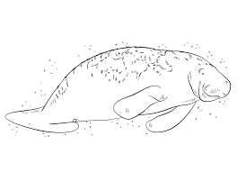 Foster the literacy skills in your child with these free, printable coloring pages that can be easily assembled int. Free Manatee Coloring Page Free Printable Coloring Pages For Kids