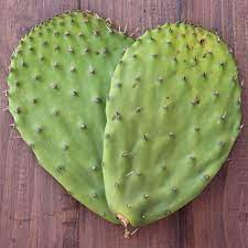 Some other sites say that there are 196 grams of sugar in a cup. Cactus Paddle Agua Fresca Agua Fresca De Nopal Agua Fresca Small Cactus Cactus