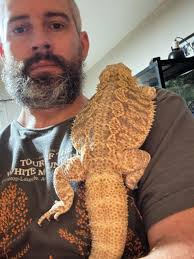 Drylok safety for reptile enclosures