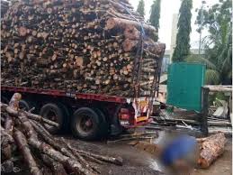 Taman samudera, alor star, kedah. Fire Breaks Out At Sk Taman Samudera Batu Caves Citizens Journal Malaysia