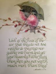 Look At The Birds Of The Air And The Flowers Of The Field Pin On Bible Verses Journaling Young Children And Tweens