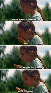 43 Underrated Movies You Ve Never Heard Of But Need To Watch Asap Good Movies To Watch Florida Project The Florida Project