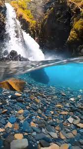 Wallpapersmania Live Wallpaper Video Best Nature Wallpapers Wallpaper Earth Iphone Wallpaper Photos