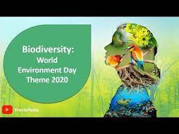 Di world biggest day to celebrate di environment every year na on 5 june. Biodiversity World Environment Day Theme 2020 Youtube