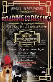 Quality chihuahua puppies for sale in california. Put On The Dog At Black Dog Tan Chihuahua S Roaring For Rescue Long Beach Post News