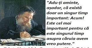 Cele Trei Intrebări O Poveste Cu Talc De Tolstoi Memes Ciate