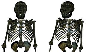 2 days ago · who was turkana human or turkana boy. Seeking Ancestral Commonalities With Modern Human Body Type