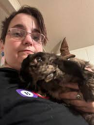 Is it normal for a neutered male lionhead to pee and poop outside the  litter box?