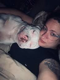 BIG BULL update, a COW I CAN'T HELP ... and some SERIOUS BELT ISSUES