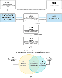 The identification process and composition of the 165 molecules...