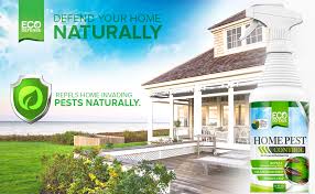 Save and feel good · never pay full price · new coupons daily Amazon Com Eco Defense Usda Biobased Pest Control Spray Ant Roach Spider Bug Killer And Repellent Natural Indoor Outdoor Bug Spray Child Pet Friendly Patio Lawn Garden
