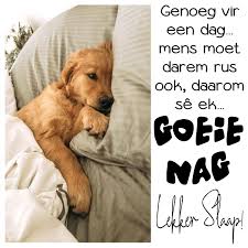 Pin By Caty Bothma On Goeie Nag In 2020 Goeie Nag Nag Afrikaans