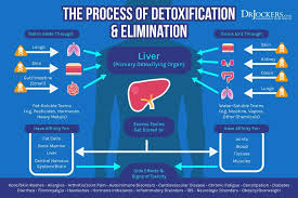 Skin Tags Major Causes And Natural Support Strategies Drjockers Com In 2020 Inflammation Macular Degeneration Chronic Inflammation