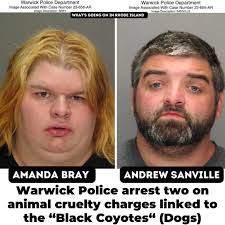 Warwick Police arrested the owners of the dogs, previously thought to be  black coyotes,