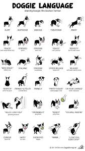 This Is Puck To A T Illustrator Lili Chin Produced This Wonderful Explanation Of Her Dog S Body Language Dog Language Dogs Pets