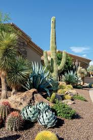 How much does the shipping cost for cactus plants? Paradise For Two Phoenix Home Garden Desert Backyard Cactus Garden Landscaping Desert Landscaping