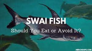 Swai Fish Should You Eat Or Avoid It Merchdope