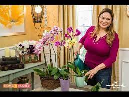 Learn How To Make An Orchid Plant Rebloom Over And Over Again You Will Be Excited To Learn The Secret And We Have A V Orchid Rebloom Orchid Plants Orchid Care