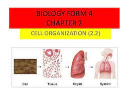 Soil water exists as a thin film in the soil, between soil particles. Biology Form 4 Chapter 2 Part 2 Cell Organization Biology Form 4 Chapter