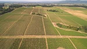 Bhoomi – Karnataka Land Records Online (RTC) | LegalRaasta