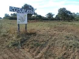 Hugo toeppens hundert tage in paraguay:reise in's innere: 25 Jahre Rosaleda Wochenblatt