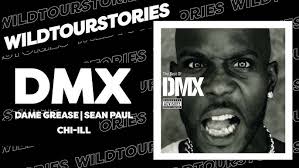 DMX, Dame Grease, Sean Paul, and Chi Ill remember Wild Tour Stories fron  247HH