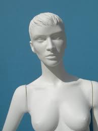 Fotogallery CENTROMANICHINI pag.290