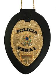 Conteúdo programático, conforme os últimos editais publicados e conforme o projeto básico 2021. Distinitvo Policia Penal Mod Aguia Brasao Nacional