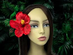 Pink Hibiscus Flower