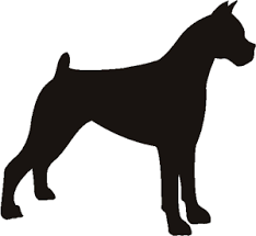 Black And White Boxer Dog Head Silhouette Pin Em Pet Resources Diy Ideas