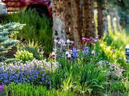 After planting, a layer of chicken wire will keep critters from digging them up. All Season Flower Gardens Designing Year Round Gardens