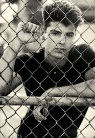The story of new kids on the block is linked to another boy band from the 1980s: Latest Bigfoot Sightings Ar Kane Green Hazed Daze Jordan Knight Nkotb New Kids On The Block