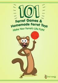 To get rid of the negative effects of fluffy games, you need to make a separate playground out of it. 101 Ferret Games Homemade Ferret Toys
