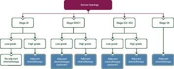 Recurrent ovarian cancer may cause the same symptoms as the original cancer, or these symptoms may be different. Esmo Esgo Consensus Conference Recommendations On Ovarian Cancer Pathology And Molecular Biology Early And Advanced Stages Borderline Tumours And Recurrent Disease International Journal Of Gynecologic Cancer