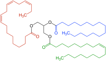 We did not find results for: Triglyceride Wikipedia