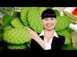 Aloe vera contains many vitamins including a, c, e, choline, b1, b2, b3, b6 & b12. Para Que Sirve El Nopal Y La Sabila Juntos Para Que Es Bueno El Nopal Youtube Jugos Con Sabila Jugo De Nopal Licuado De Nopal