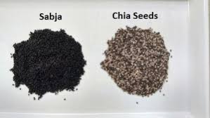 Vitamins, personal care and more. 7 Differences Between Chia Seeds Sabja Seeds Goqii