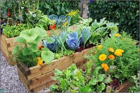 Pflegeleichter Garten Der Traum Von Allen Hobbygartnern Archzine Net Gartenbeet Gestalten Pflegeleichter Garten Garten Pflanzen