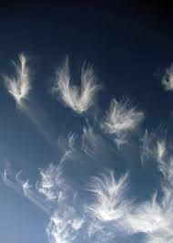 What Do You See In The Clouds Beautiful Clouds Like Feathers Angel Clouds Clouds Beautiful Nature