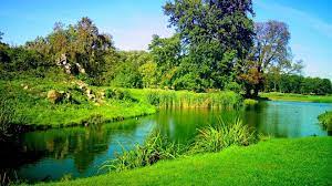 Looking for the best wallpapers? 8k Ultra Hd Nature Wallpapers Top Free 8k Ultra Hd Nature Backgrounds Wallpaperaccess