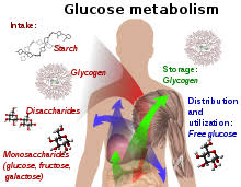 Maybe you would like to learn more about one of these? Glucose Wikipedia