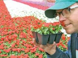 Mormon settlers originally chose the location for its isolation and favorable agricultural resources. Cheap Shot Petal Pusher Green Thumbing It At Quality Flowers Plants Cheap Shot Salt Lake City Salt Lake City Weekly
