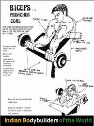 6 bodybuilding chest exercises chart hd exercise chart hd