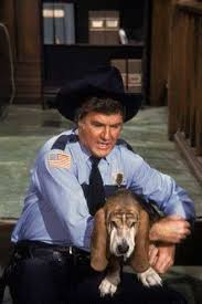 Flash And Rosco Basset Hound Dog Bassett Hound Celebrity Dogs
