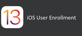 When installed follow this process. How To Start With Ios User Enrollment Using Microsoft Intune In The Cloud 247