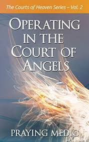 Operating In The Court Of Angels The Courts Of Heaven Book 2 By Medic Praying Heaven Book Heaven Pdf Books Download
