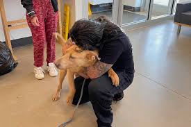 Meet adoptable pets at a petco near you. Veteran In Clarksville Reunites With Lost Dog In Cleveland After 4 Years Apart Clarksvillenow Com