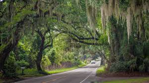 A Charleston to Savannah Guide From the Company Curating More Inclusive  American Road Trips | Vogue