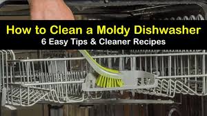 The smell may be so strong at times, that you feel it from quite a distance as well. 6 Easy Ways To Clean A Moldy Dishwasher