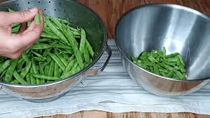 This side dish is a delicious way to dress up green beans.—sandra mckenzie, braham, minnesota home recipes ingredients beans & legumes my husband will sure be surprised; How To Can Green Beans The Easy Way Raw Pack Melissa K Norris